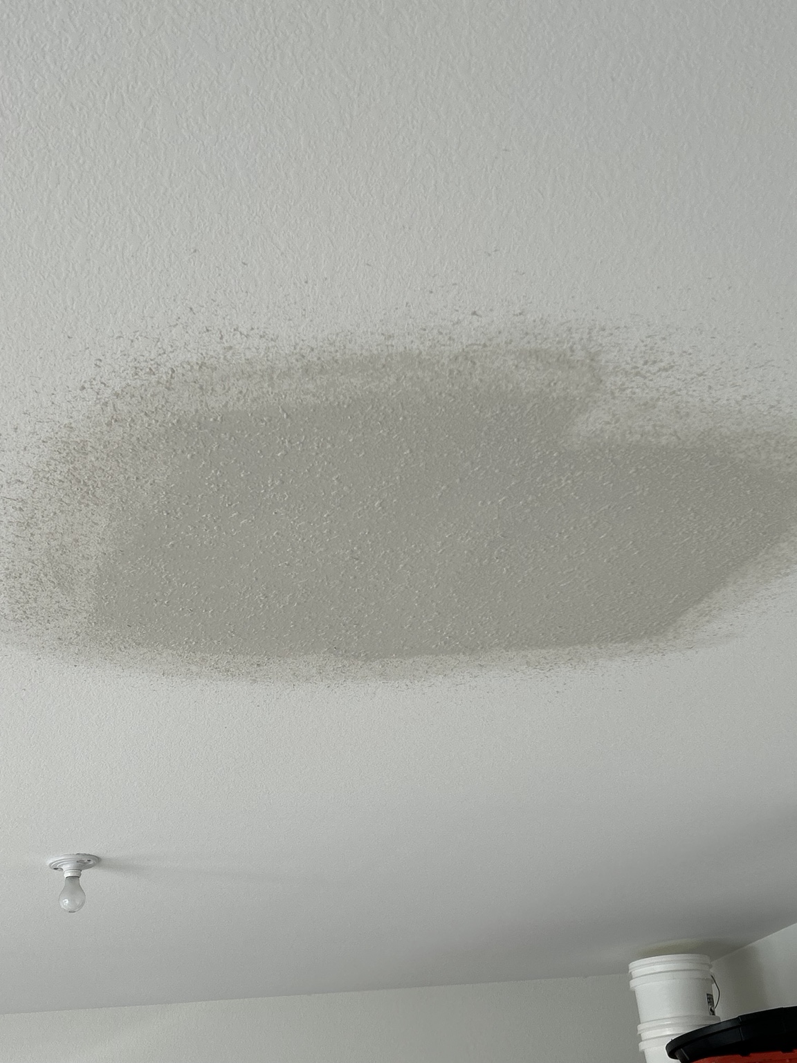 Drywall Dynamics drywall and remodeling project